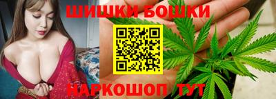 индика Пенза