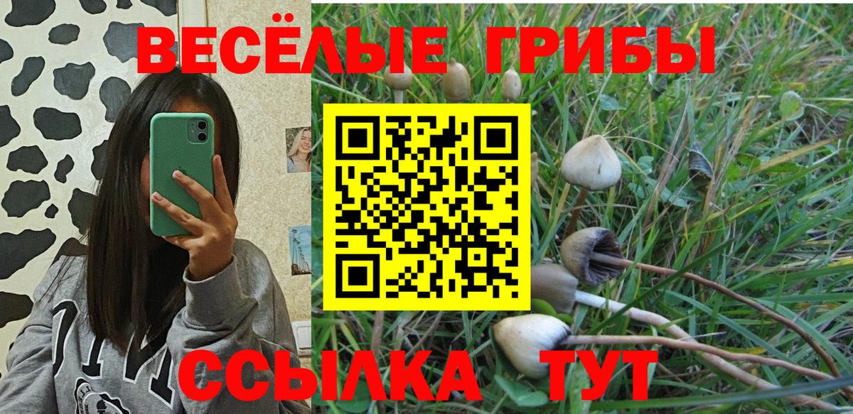 Галлюциногенные грибы GOLDEN TEACHER Сальск